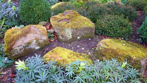 Monthly landscaping work in Olympia